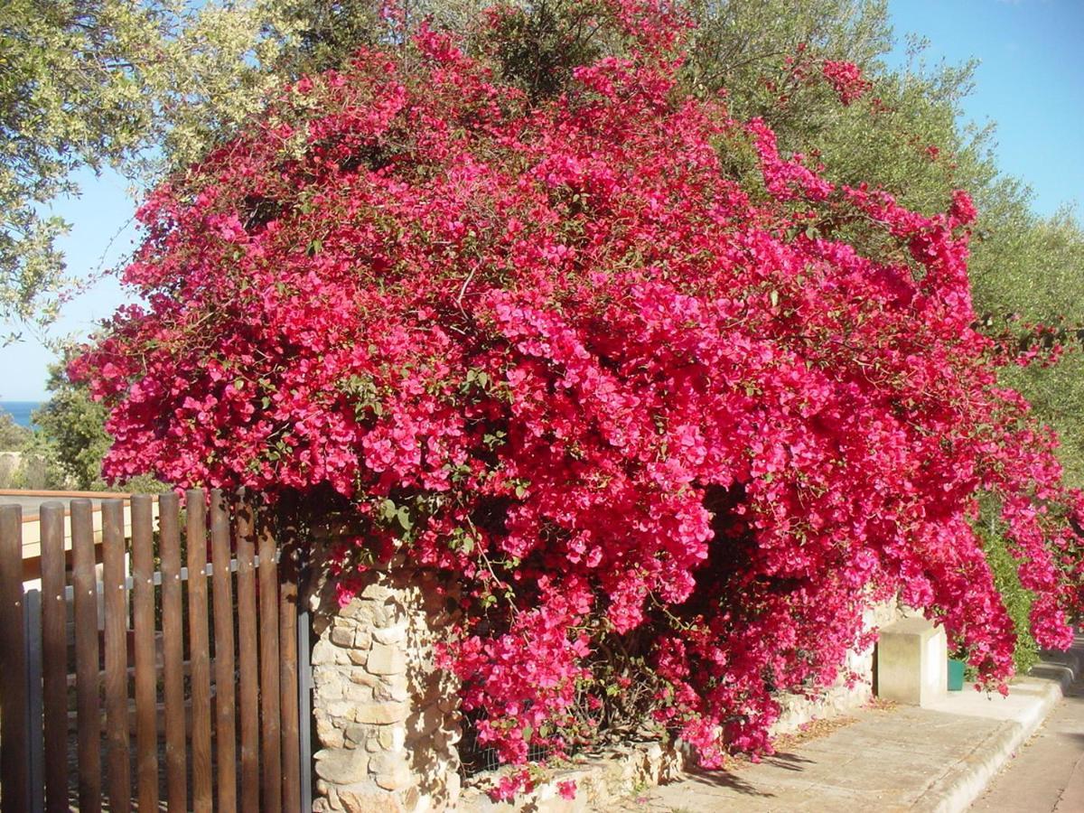 Casa A 300mt.dal Mare Calasinzias, 6 Letti, Ac, Pets Welcome, Wi-fi Free Casa vacanze *